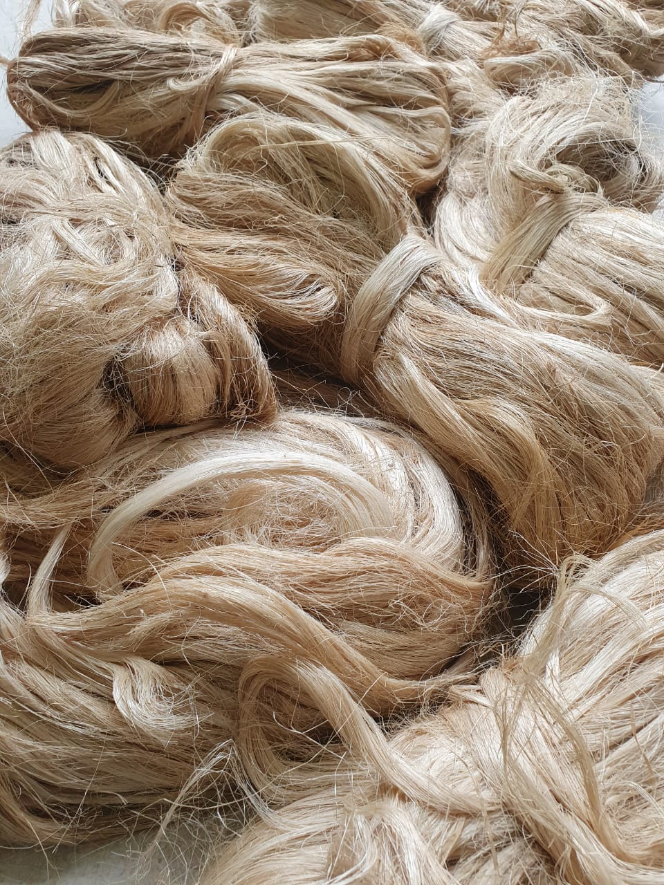 PHOTO-2020-09-16-14-19-18