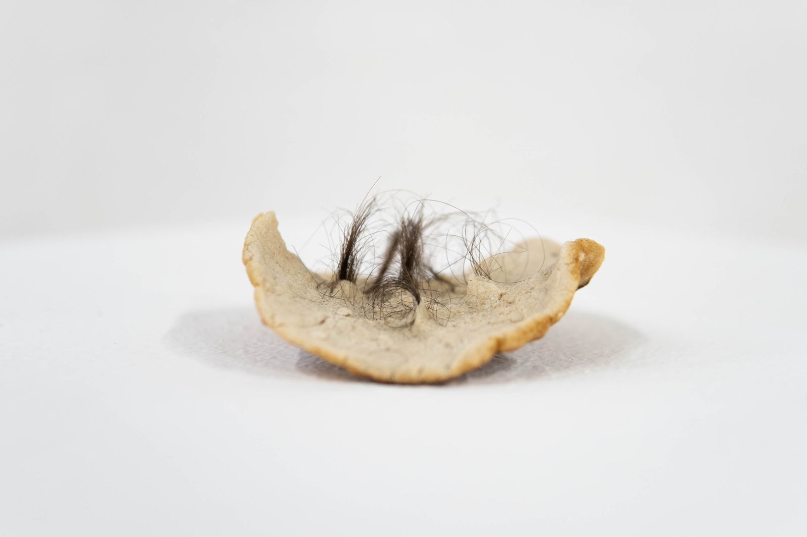 9a1ee4e6-9f53-45b8-8801-c208dd18b1e0